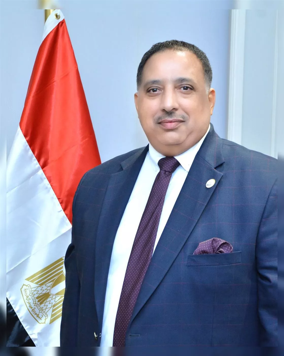 عبد الغفار السلاموني، نائب رئيس غرفة صناعة الحبوب