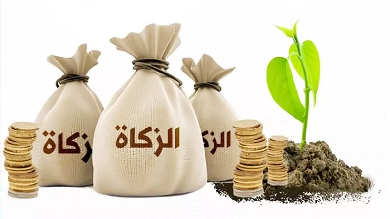 الدكتور محمد خالد القعيد يكتب: معركة الزكاة السنوية