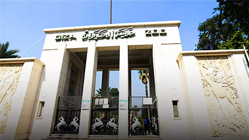 حدائق الحيوان والأورمان وتلال الفسطاط.. 3 رئات خضراء تنتظر سكان العاصمة في 2025 