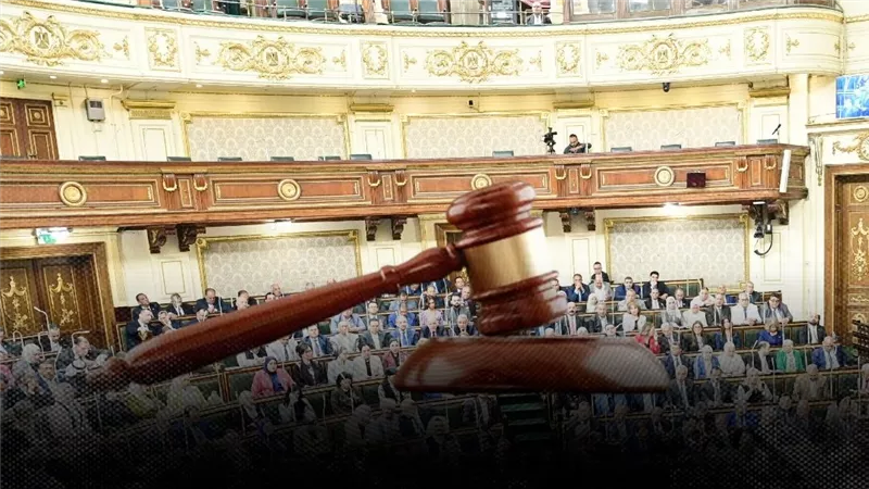  أبرز 7 ملامح ترسم مستقبل العدالة في مصر