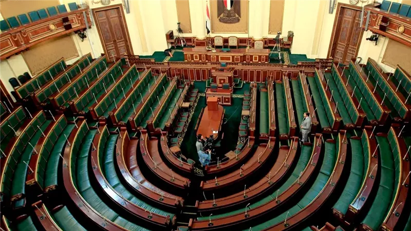 الشرعية البرلمانية لا تستمد من تمام الإجراءات وإنما من صحة وسلامة مصدرها