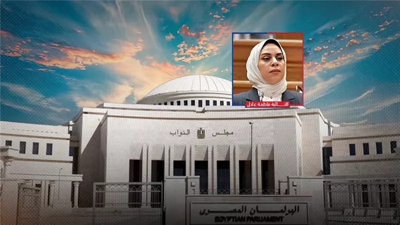 قرض الرفاهية بـ300 مليون دولار يفجر غضب البرلمان.. نائبة: «إحنا بنام من المغرب» 
