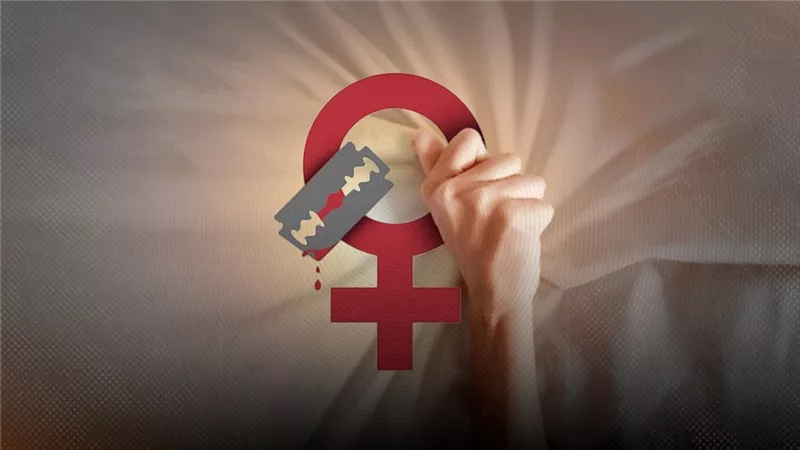 صحيفة ألمانية: 80% من المصريات خضعن لـ