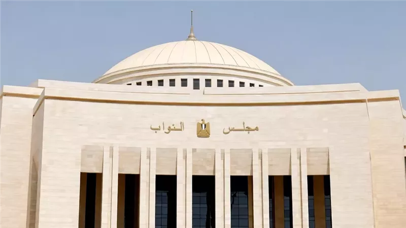 تعاقد النائب مع الدولة .. هل يبطل العقد أم يُسقط العضوية ؟