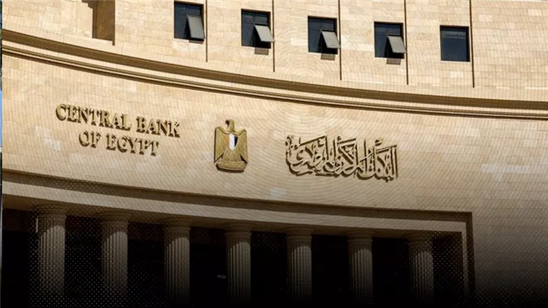 البنك المركزي: مصر تسدد 22.3 مليار دولار أقساطًا و6 مليارات فوائد