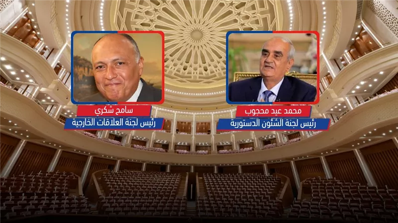محجوب لـ«التشريعية» وشكري لـ«الخارجية».. النتائج الكاملة لانتخابات للجان النوعية بمجلس النواب